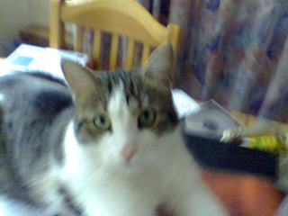 Moritz