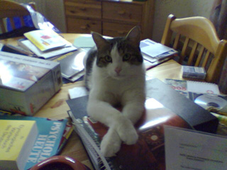 Moritz in typischer Pose